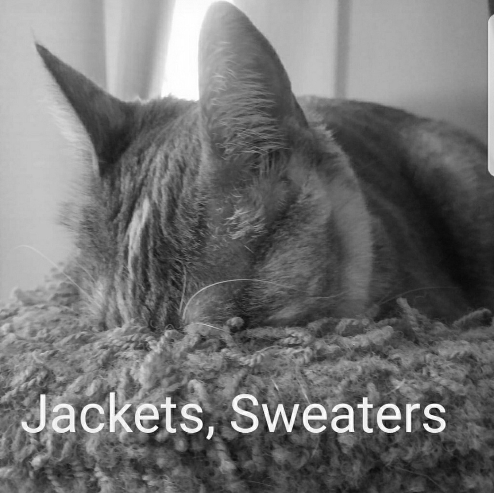 Jacket, sweaters and vest